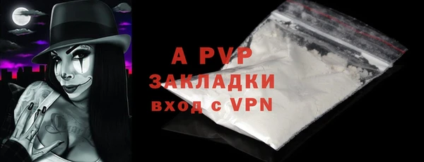 стаф Абинск