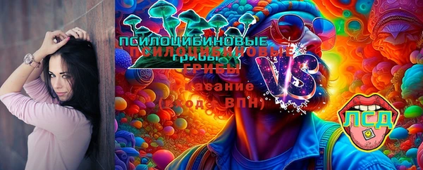 стаф Абинск
