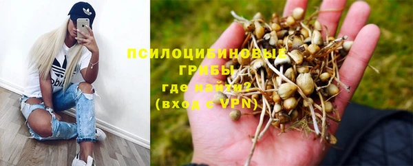 mix Абаза