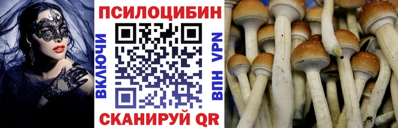 Псилоцибиновые грибы Cubensis купить цена Шумиха
